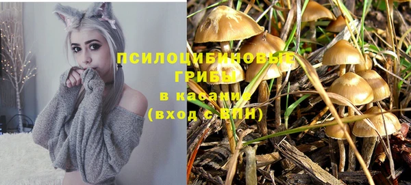 крисы Балабаново